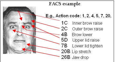 FACS-Coded Facial Expression