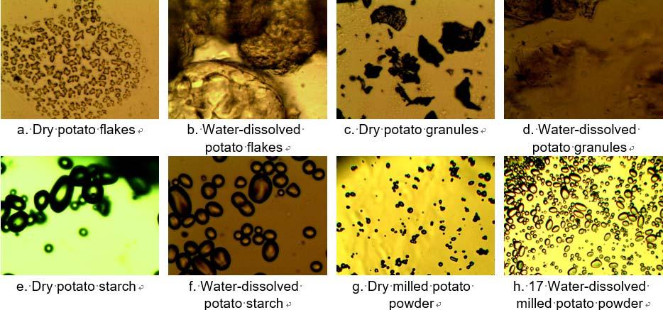 785 Figure 6: Potato flakes Figure 7: Potato granules Figure 8: Potato starch Figure 9: Milled potato powder 2.
