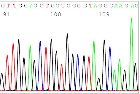 K-RAS mutations in
