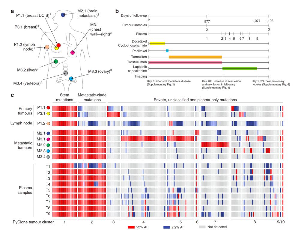 Introduction The molecular profile of tumours evolves dynamically over time.