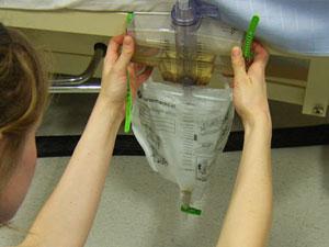 catheterized (male and female parts) You can You can observe the