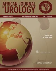 rtius flap and anterior vaginal wall sling for correction of urethrovaginal fistula (UVF) associated with stress urinary incontinence (SUI) after vaginal delivery A.M.