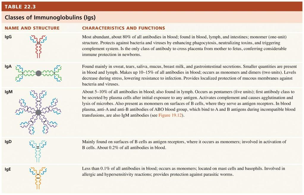 Antibody Classes and Function Endeavour