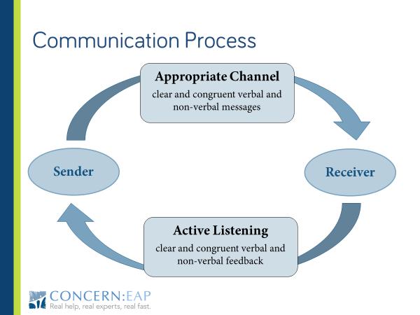 The Communication Process The sender is responsible for designing a clear, concise message, gearing the message to the receiver, selecting an appropriate channel and asking the receiver for feedback.