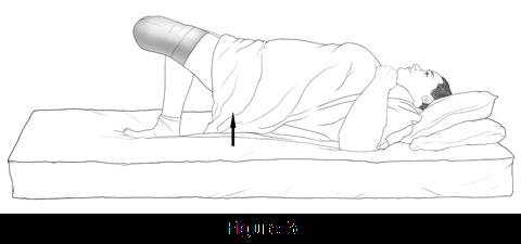 Repeat. (See figure 3) Exercise 5: Hip Adduction Place a towel roll between your thighs.