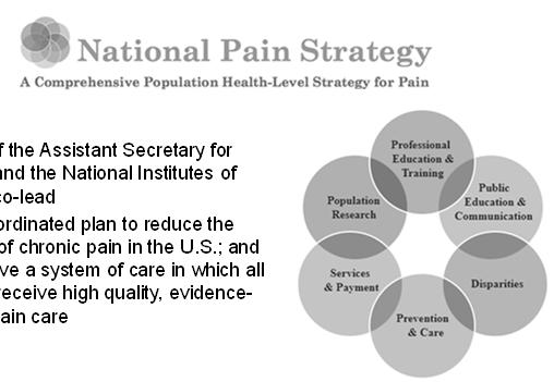 Broad spectrum of pain management stakeholders physicians, dentists, and non-physician prescribers pharmacists and pharmacies pain research and addiction research, adolescent and young adult