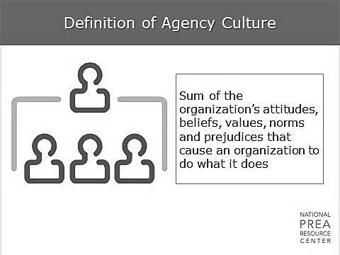 Although an agency or facility s culture is not something that is easily identified, it has an enormous impact on the success of initiatives.