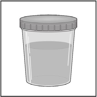the urine cup. Transfer approximately 4.