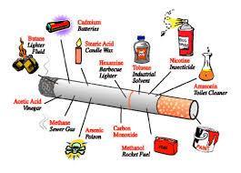 Tobacco - Aidan Tobacco is horrible for your body, your health, and the people around