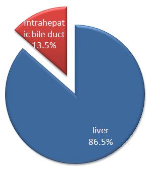 LIVER CANCER ICD-10 C22 TABLE 23: METHODS OF DIAGNOSIS METHOD OF DIAGNOSIS MALE FEMALE TOTAL % Clinical only 10 3