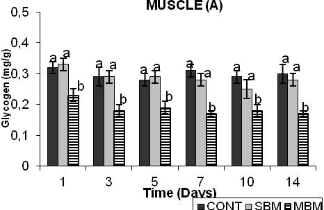 F. Özkn Yılmz et l / JABS, 9 (2): 37-42, 15 Figure 3. Muscle tissue glycogen levels of O. niloticus (A) noninfected nd (B) infected with V. nguillrum when fed CONT, SBM nd MBM diets.