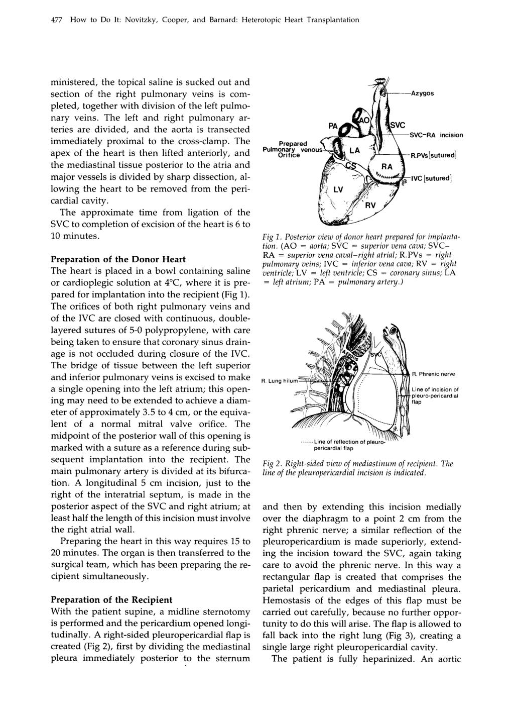 477 How to Do It: Novitzky, Cooper, and Barnard: Heterotopic Heart Transplantation ministered, the topical saline is sucked out and section of the right pulmonary veins is completed, together with