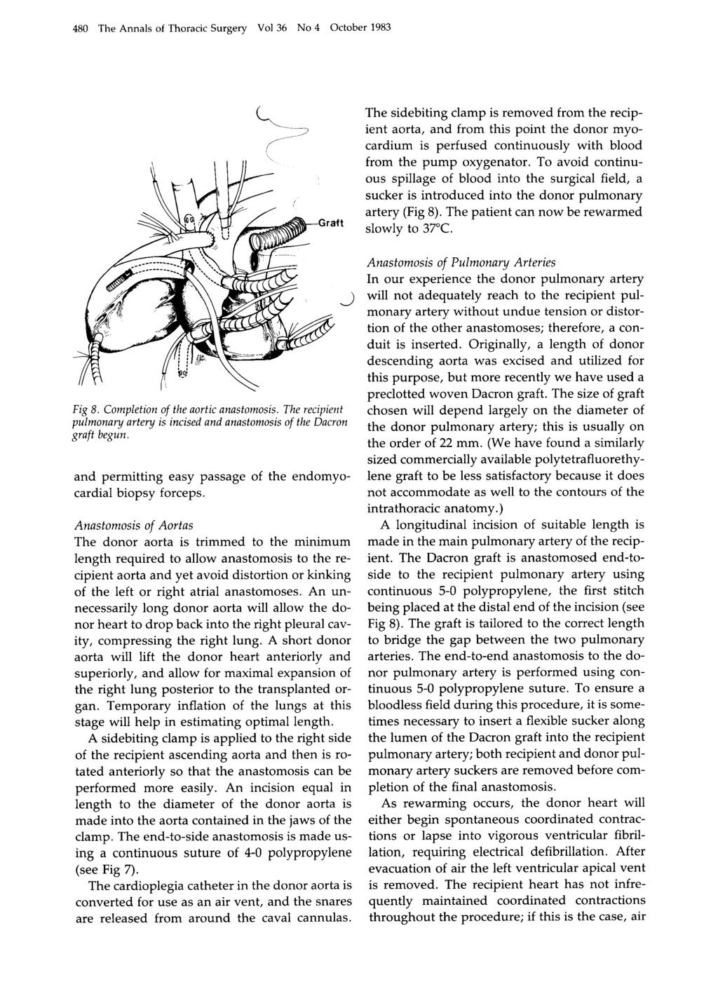 480 The Annals of Thoracic Surgery Vol 36 No 4 October 1983 The sidebiting clamp is removed from the recipient aorta, and from this point the donor myocardium is perfused continuously with blood from