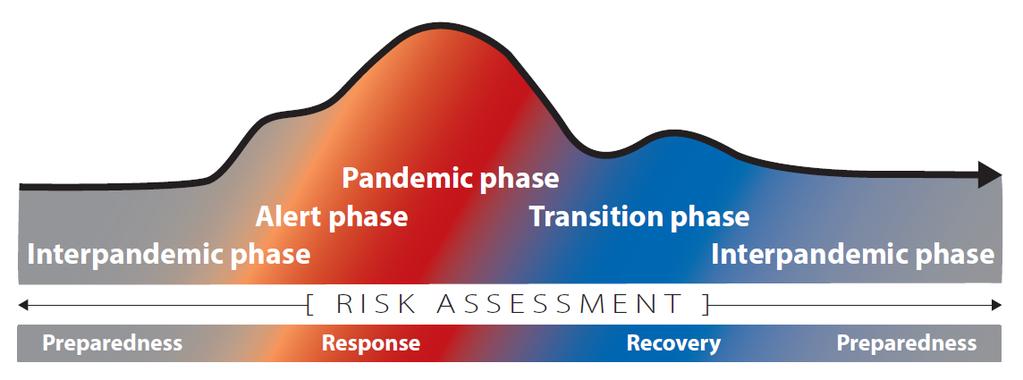 2.2 Pandemic phases The pandemic influenza phases reflect WHO s risk assessment of the global situation regarding each influenza virus with pandemic potential infecting humans.