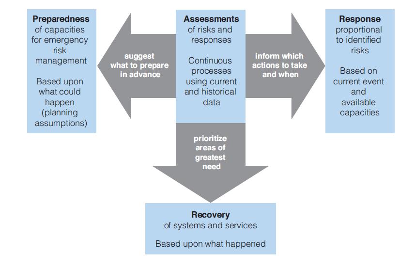 Figure 2: Pivotal role of risk assessment in preparedness, response and recovery actions For each influenza virus with pandemic potential, WHO will conduct global risk assessments in collaboration