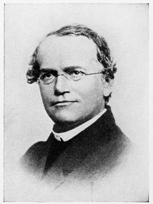Genetic crosses: a history One of the first people to study genetics was an Austrian monk called Gregor Mendel in the 1850s and 1860s.