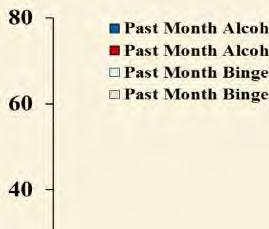 Past Month Alcohol Use and