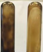 If left untreated, they can plug pipelines and production tubing, increase pressure and slow or stop production. The photos below highlight wax dispersion by Petrostep D-3 in two waxy crudes.