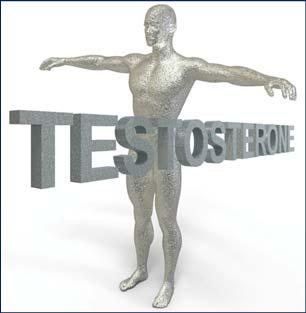QUESTIONS What is testosterone? What does it do in the body? What is low T syndrome? What is hypogonadism - the real disorder? What lab tests are done and what do they mean?