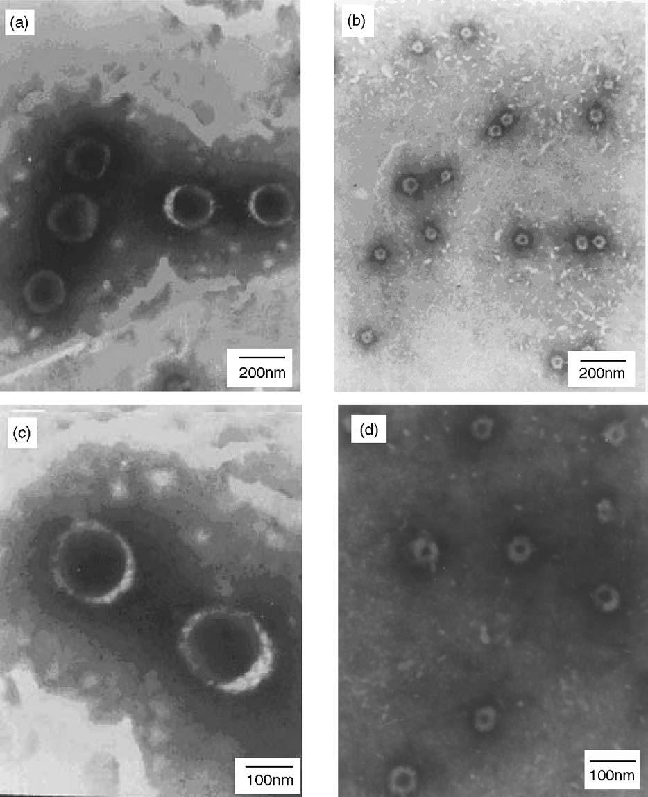 W. Chen et al. / Colloids and Surfaces A: Physicochem. Eng. Aspects 278 (2006) 60 66 65 Fig. 6. TEM photographs of stoichiometric complex micelles using 1% phosphotungstic acid staining (a and c) (GD = 1.