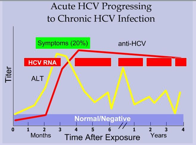 Source: CDC Laboratory Tests - HCV Hepatitis C antibody (screening test) RIBA-2 (confirmatory test) HCV RNA ~ Qualitative