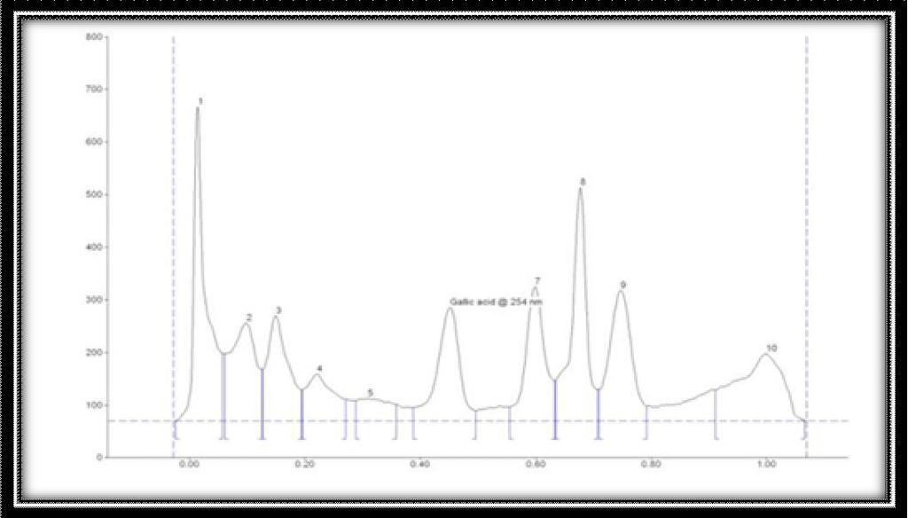 Figure 3 Chromatogram of Gallic acid standard Figure 4 Chromatogram of Andrographolide standard