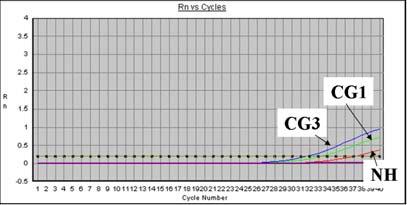 number of PCR cycles.
