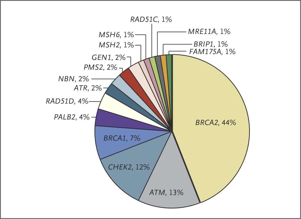 Distribution of Presumed Pathogenic Germline Mutations Pritchard CC et al.