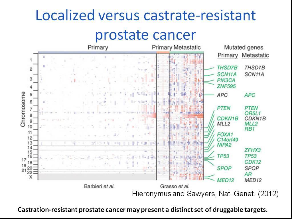 LOCALIZED VERSUS CASTRATE-RESISTANT PROSTATE CANCER