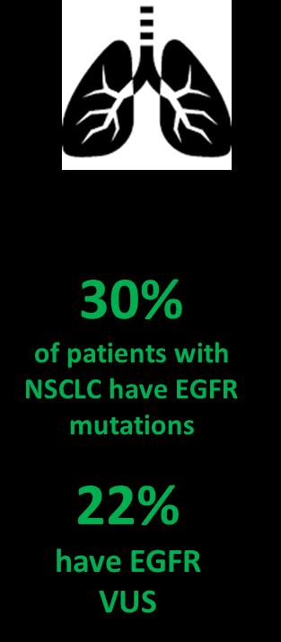 NSCLC Precision Pathway: Molecular Diagnostics (Cont d) NGS or multiple mutation testing preferred Define the EXACT mutation type Sensitizing Mutations Exon 18 mutation (6719X or 6719) Exon 19