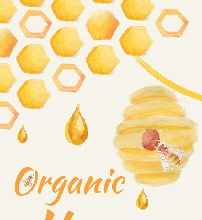 Organic Honey ORGANIC HONEY 250gm for `195 ORGANIC