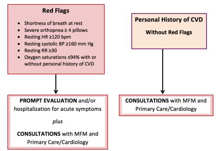 CVD Assessment Algorithm For Pregnant and Postpartum Women Diagnosis Severe Preeclampsia, cardiomyopathy and CHF Symptoms/History Vital signs Abnormal Cr and LFTs Elevated BNP Pulmonary congestion