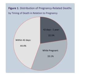 Capacity to Review and Prevent Maternal Deaths. (2017).