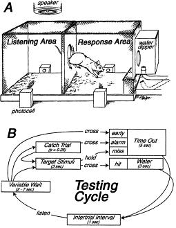 A9KO have normal behavioral hearing thresholds Operant
