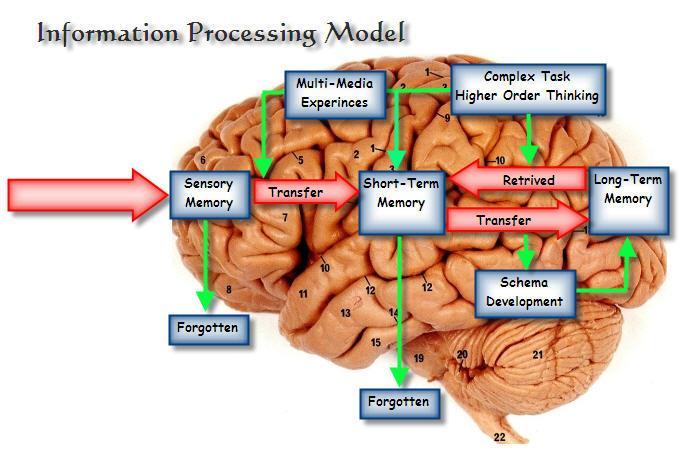 Information-Processing
