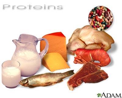Proteins and amino acids - Composed of carbon, hydrogen, oxygen, and nitrogen.