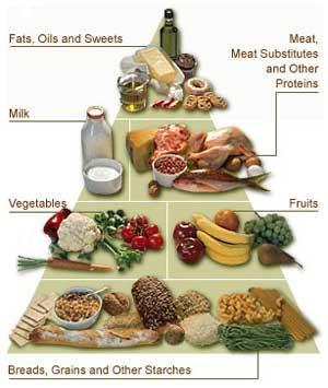 Classes of Nutrients - Macronutrients: carbohydrates,