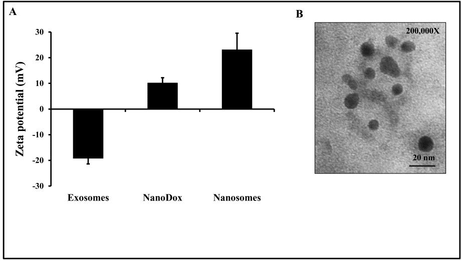 Figure S-2.Characterization of nanosomes prepared with exosomes isolated from MRC9 cells.