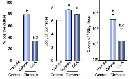 Obeticholic acid (OCA) reduces gut bacterial translocation in cirrhotic rats with ascites Gut bacterial translocation to