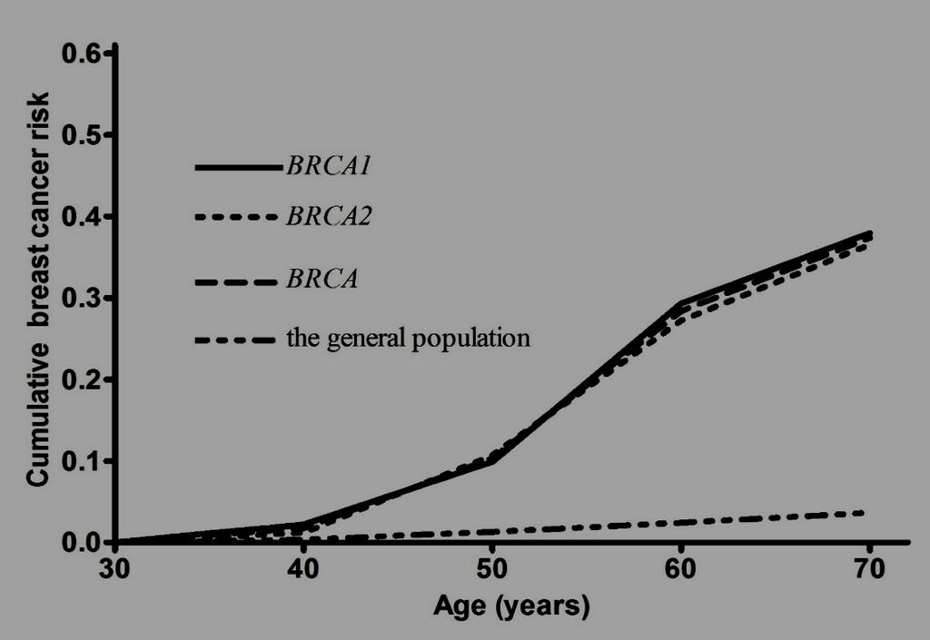 Breast cancer risk in Chinese women with BRCA1 or