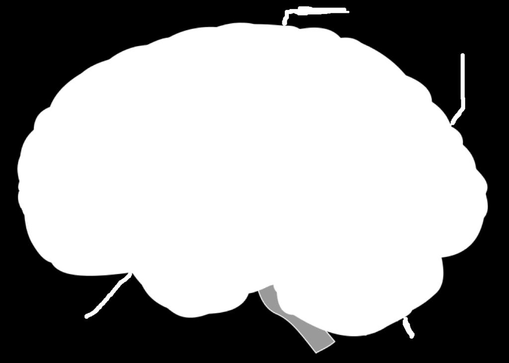 Occipital lobe 2) Cerebellum 3) Brainstem LABEL THE PARTS OF THE BRAIN: FRONTAL LOBE Temporal lobe PARIETAL LOBE