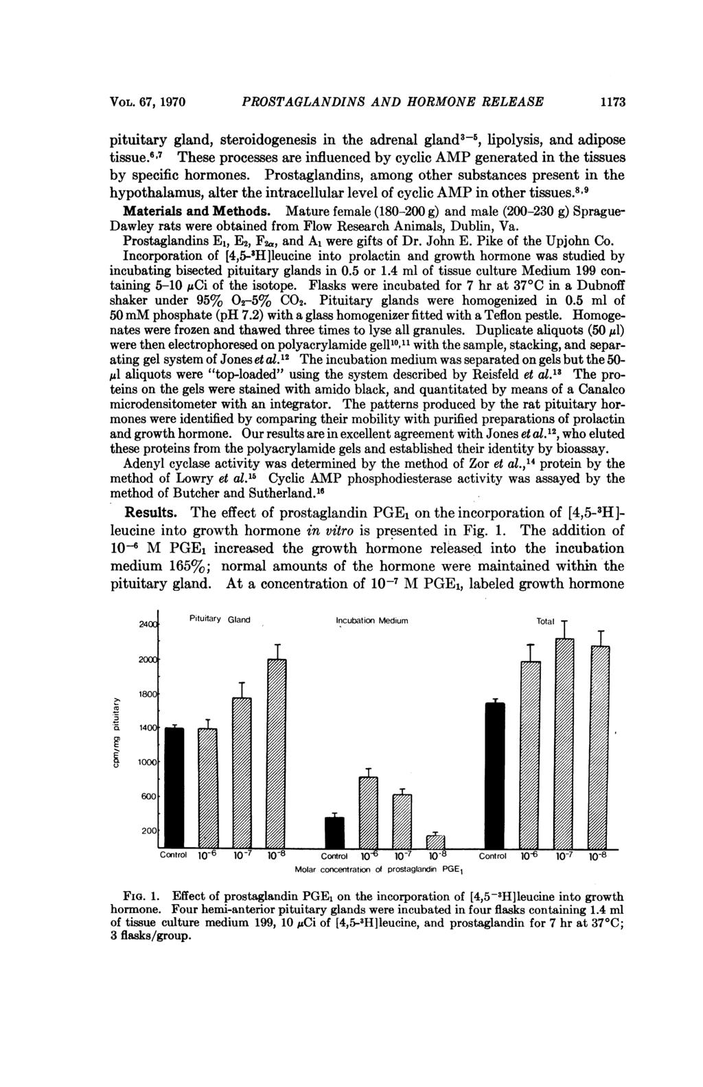 VOL. 67, 1970 PROSTAGLANDINS AND HORMONE RELEASE 1173 pituitary gland, steroidogenesis in the adrenal gland35, lipolysis, and adipose tissue.