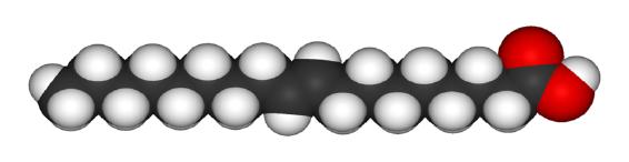 These have a double bond that is rotated, resulting in a linear chain.