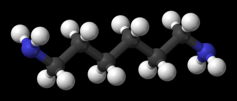 Large_iological_Molecules_Presentation 2013 08 30.notebook Organic hemistry Electron onfiguration arbon has four valence electrons to make covalent bonds.