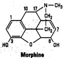 lower concentrations of morphine than in EM UM: more active drug up to 800% higher concentrations of morphine than in EM Dose Adjustment (change from standard dose): PM: select a