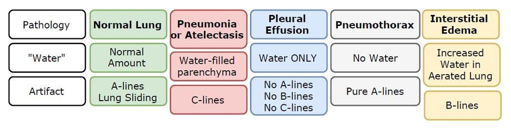B-lines present with any disease that causes extravascular lung fluid +/- interstitial thickening +/- alveolar fluid accumulation.