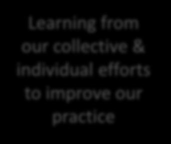 & individual efforts to improve our practice Learning from