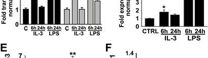 strong induction of lymphangiogenesis in vivo by LPS treatment 29.