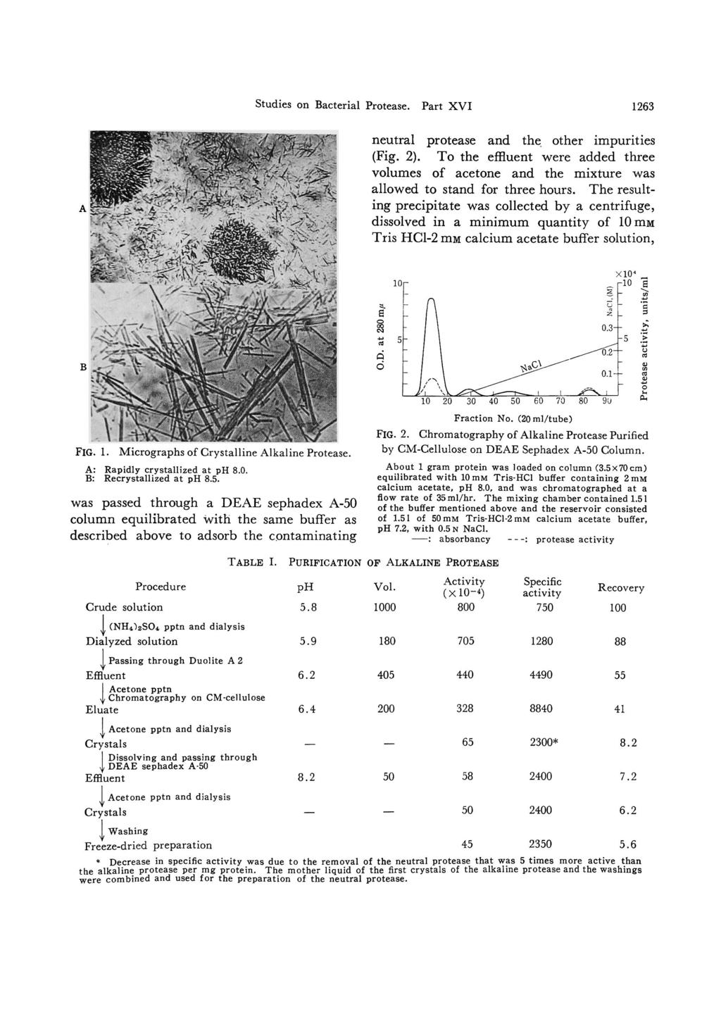 Studies on Bacterial Protease. Part XVI 1263 neutral protease and the other impurities (Fig. 2).