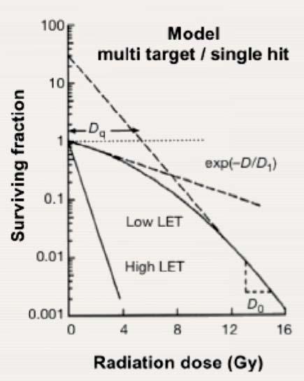 14.6 CELL SURVIVAL CURVES The earlier multi-target-single hit model described the slope of the survival curve by: Characteristic dose D 0 (the dose to reduce survival to 37% of its value at any point